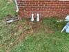 Crawl Space Encapsulation in Linden, TN - Photo 2
