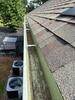 Rain Drop in Durham, NC - Photo 4