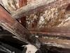 Crawl Space Encapsulation & Mold Remediation in Dallas, TX - Photo 1