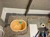 Basement Waterproofing in Owenton, Kentucky - Photo 2