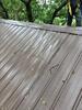 Metal Roof damage and Shylight replacement in Glenwood, MN - Photo 4