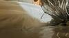 Crawl Space Repair in Lyles, TN - Photo 2