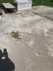 Concrete Pool Deck Repair Solution in De Leon Springs, Florida - Photo 1