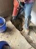 Basement Waterproofing in Parsons, TN - Photo 6