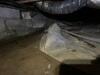 Crawl Space Repair in Leoma, TN - Photo 10