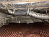 Crawl Space Repair in Leoma, TN - Photo 6