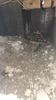 Basement Waterproofing & Crawlspace encapsulation in Dallas, TX - Photo 6