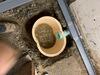 Basement Waterproofing Company in Hazard, Kentucky - Photo 1