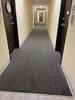 Tellus Green Common Hallway Cleaning in Bloomfield, CT. - Photo 1