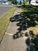 Resolving Concrete Sidewalk Settlement In Somers Point, NJ - Photo 1