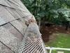 New Gutter Guard Installation in Alpharetta, GA - Photo 2