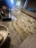 Basement Waterproofing & Moisture Control - Delphi, IN - Photo 1