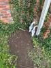 Basement Waterproofing in Nashville, TN - Photo 2