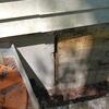 Temporary Door Doesn't Stop Mice From Entering the Crawl Space in Long Branch, NJ - Photo 1