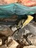 St. Paul Crawlspace Encapsulation Success Story - Photo 1