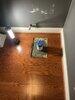Toilet Repair in Brambleton, VA - Photo 2
