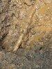 Under ground water leak in The Plains, VA - Photo 4