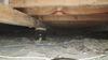 Partial Crawl Space Encapsulation & Dehumidifier in Dallas, TX - Photo 4