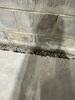 Crawl Space Repair in Brentwood, TN - Photo 6