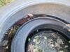 Mosquitoes Breeding Inside Tire in Avenel, NJ - Photo 2
