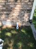 Crawl Space Encapsulation & Drainage System Installation - Greentown, IN - Photo 1