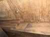 Crawl Space Encapsulation & Mold Remediation in Dallas, TX - Photo 6