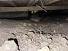 Crawl Space Encapsulation & Mold Remediation in Dallas, TX - Photo 5