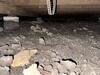 Crawl Space Encapsulation & Mold Remediation in Dallas, TX - Photo 4