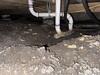 Crawl Space Encapsulation & Mold Remediation in Dallas, TX - Photo 3
