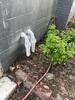 Basement Waterproofing Contractor in Shelbyville, KY - Photo 5