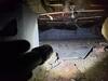 Crawl Space & RimJoist Insulation Installed In Plover, WI - Photo 2