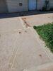 Concrete Driveway & Sidewalk Leveled, Stabilized and Joints Sealed in Luxemburg, WI - Photo 7