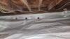 Crawl Space Encapsulation in Fort Worth, Tx - Photo 2