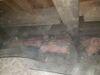 Crawl Space Floors Stabilized with SmartJacks & Supplemental Beam System In Omro, WI - Photo 8
