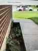 Driveway and Walkway Lifted & Protected with PolyLevel® and NexusPro® in Edmond, OK - Photo 1
