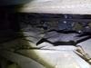 Crawl Space Stabilized with SmartJack Support In Spencer, WI - Photo 2
