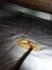 Crawl Space Moisture Control & Insulation Improvements In Waupun, Wi - Photo 5