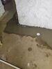 Basement Waterproofing with Upgraded Sump Pump and Dehumidification System in Ringle, WI - Photo 4