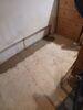 Wet Basement Issues Resolved with Upgraded Sump Pump & Water Drainage System in Abrams, WI - Photo 2