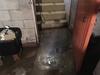 Saving a Beautiful Old Basement in Adams, MN - Photo 1