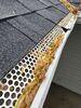 Gutters in need of cleaning and repairs in Cokato, MN - Photo 1