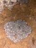 Crawl Space Repair in Campbellsville, KY - Photo 2