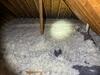 Extraction and Cellulose Insulation in Avon, OH - Photo 1