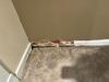 Leaky Finished Basement Repaired in Aurora, OH - Photo 1