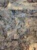 Septic Repair in Boyce, VA - Photo 10
