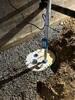Crawl Space Repair in Paducah, KY - Photo 4