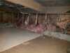 Crawl Space Insulation Solves Moisture & Temperature Issues in Ripon, WI - Photo 1