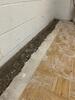 Basement Waterproofing in Cadiz, KY - Photo 8