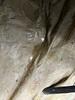 Crawl Space Repair in Brentwood, TN - Photo 5