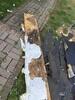 Roof Repair in Patterson, NY - Photo 3